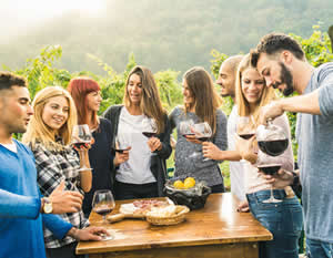 Granbury Area Winery Bus Tour & Italian Dishes