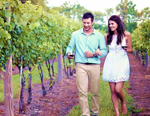 Fredericksburg Vintner Winery Tour & Italian Lunch